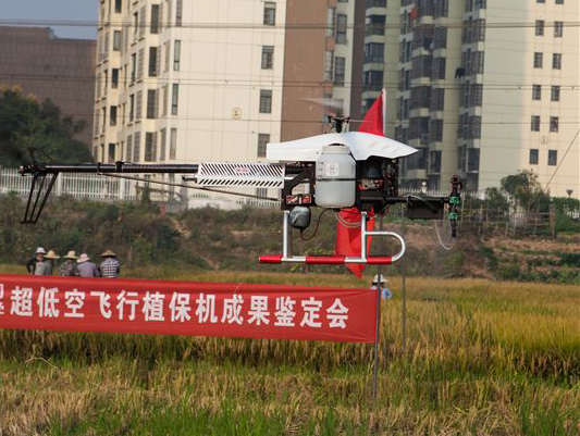 LETOU乐投科技超低空？？？？？睾叫兄脖；；；；；；；ü蒲行Ч卸