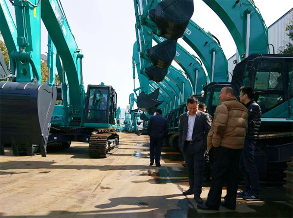 快来看，，，，，，，快来看，，，，，，，这里有一群绿精灵