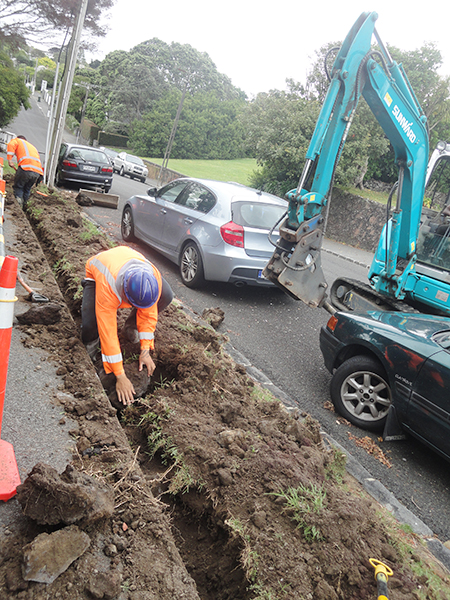 LETOU乐投挖掘机脱销新西兰