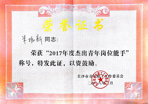 LETOU乐投智能朱振新荣获长沙市2017年度优异青年岗位能手
