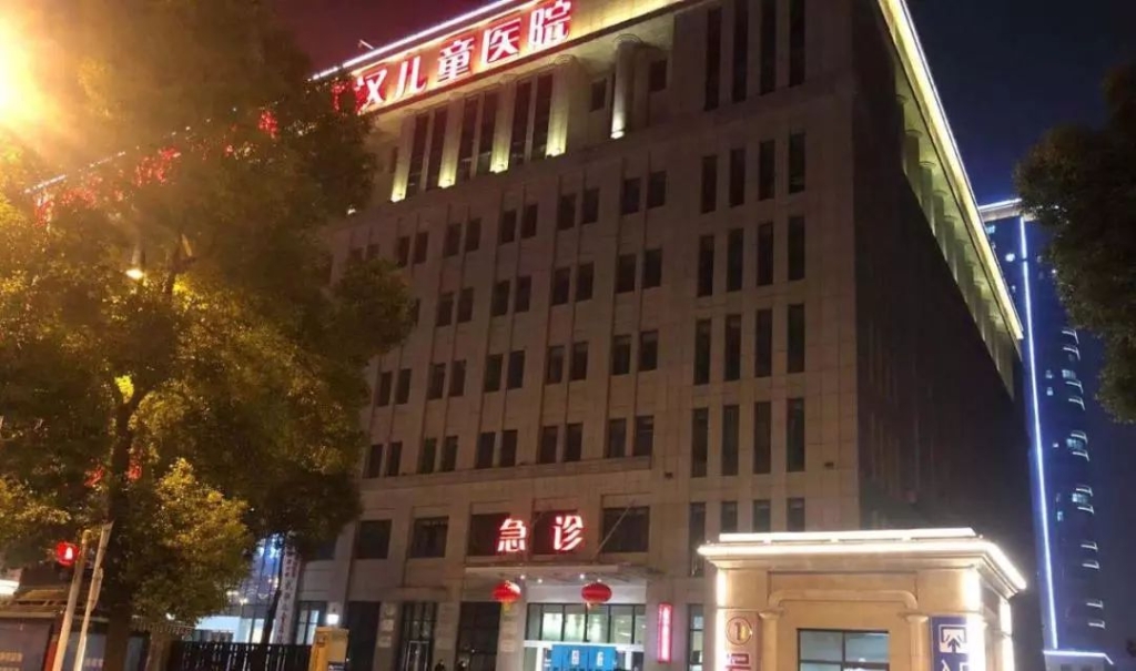 LETOU乐投飞机完成防疫物资紧迫转运使命