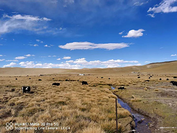 心系LETOU乐投情，，，，，，，，追梦阿里行！