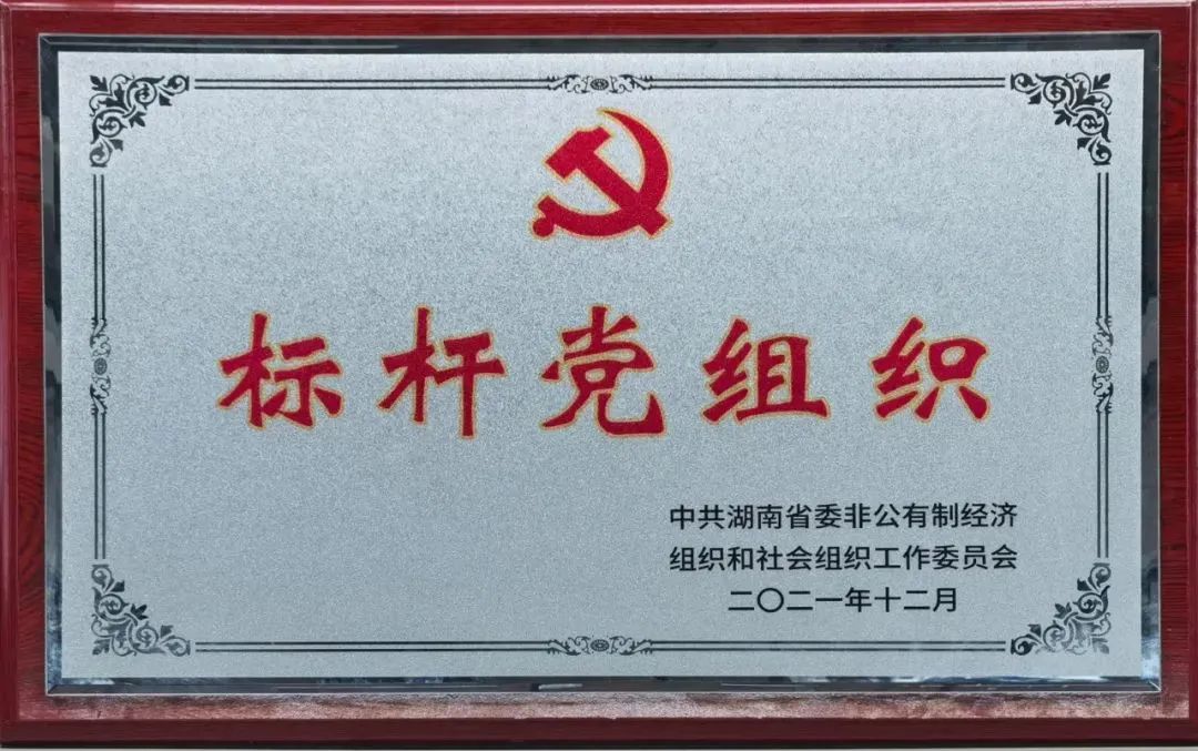 党建品牌亮起来！LETOU乐投智能党委获评“标杆党组织”