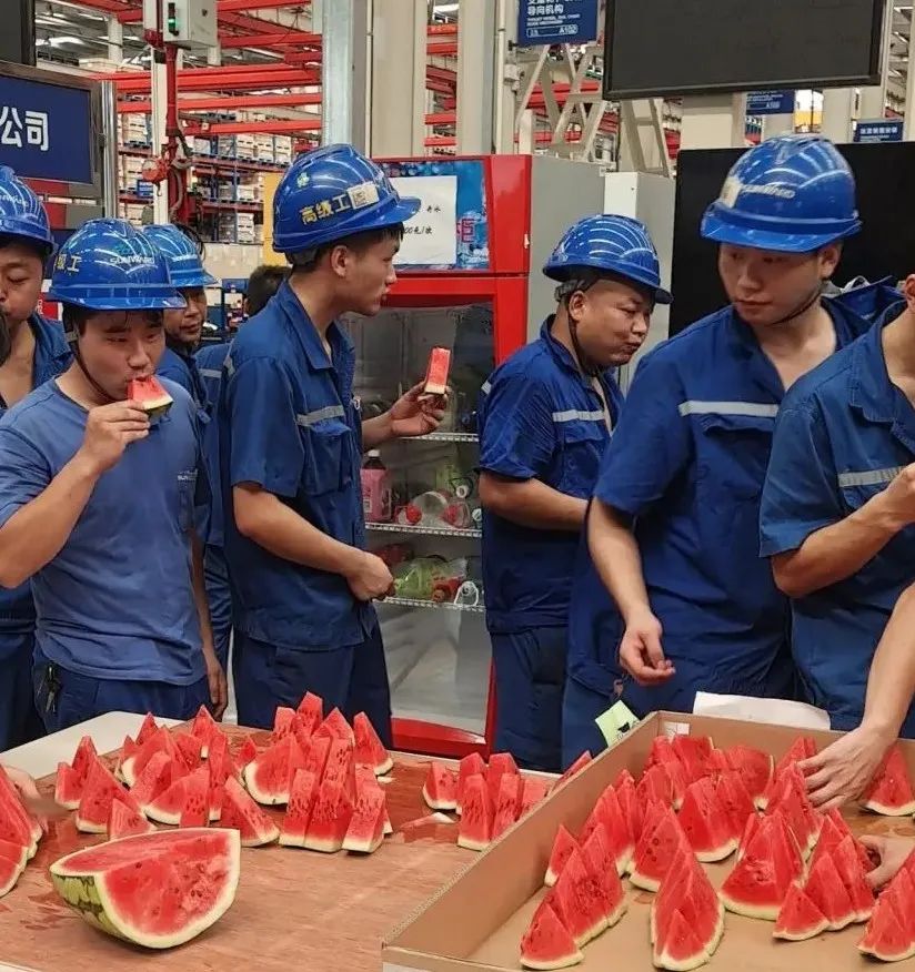 LETOU乐投智能“降暑套餐”，，，，，，，只为不平“暑”的你