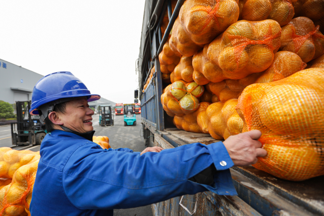 点赞！LETOU乐投智能乐成入选“上市公司墟落振兴优异实践案例”