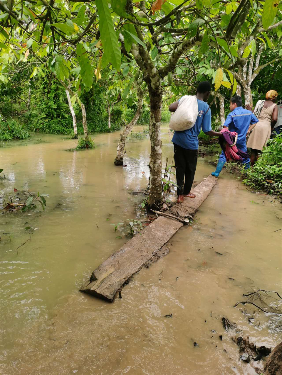 品质LETOU乐投，，，，，，，，专心折务！LETOU乐投智能效劳万里行活动走进非洲加纳